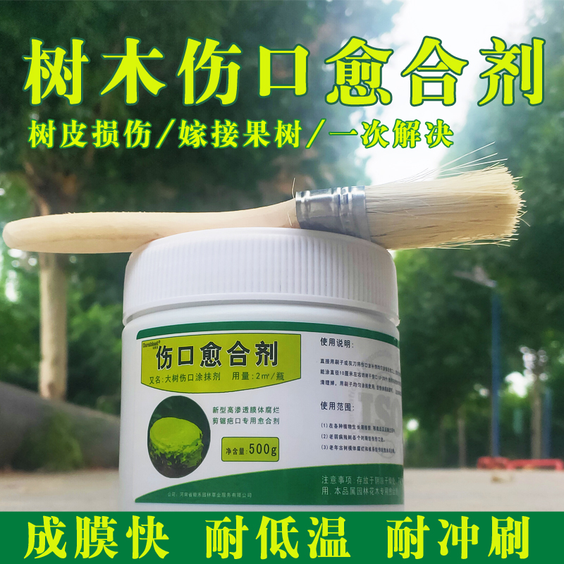 树皮修复大树修复营养苗木愈合膏