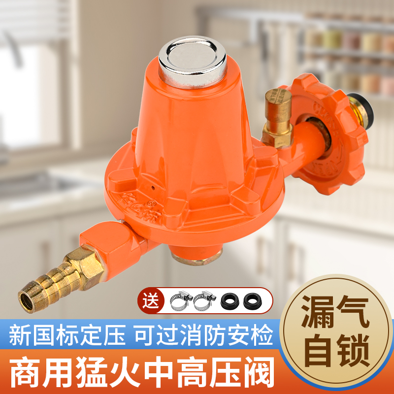 煤气减压阀防爆燃气高压安全阀液化气罐钢瓶中压阀猛火灶专用