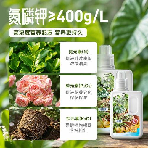 花彩师通用型室内外兰花三角梅盆栽蓝莓彩叶芋浓缩水溶肥料营养液