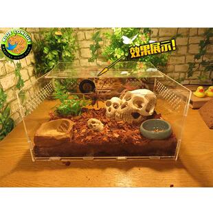 爬虫饲养箱圆形电子温湿度计迷你款 爬虫箱造景测量温蜥蜴陆龟配件