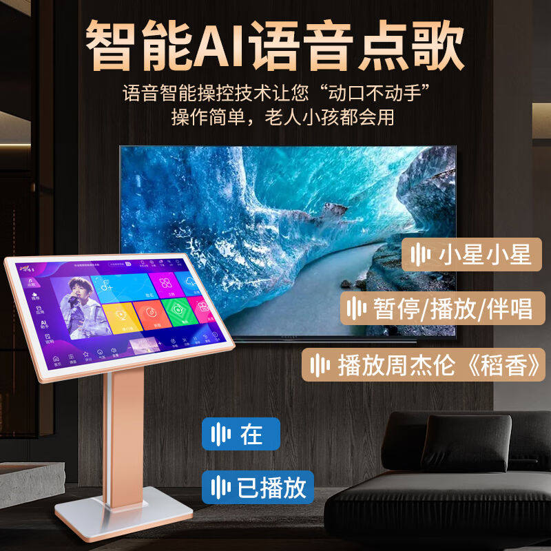 心唱享语音点歌机家庭影院KTV点歌台家用K歌卡拉OK唱歌机安卓双系属于什么档次？