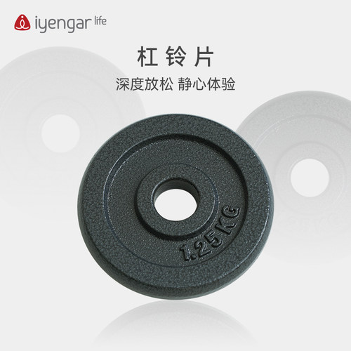 哑铃片黑色铸铁哑铃片