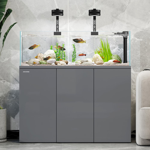 闽江溪流缸原生态野采造景鱼缸