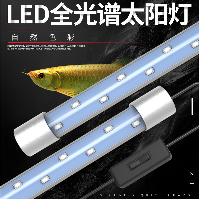small fish tank light