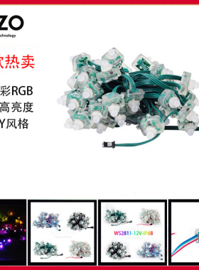 LED方型WS2811灌胶防水5v全彩户内外装饰可编程DIY风格外露灯串