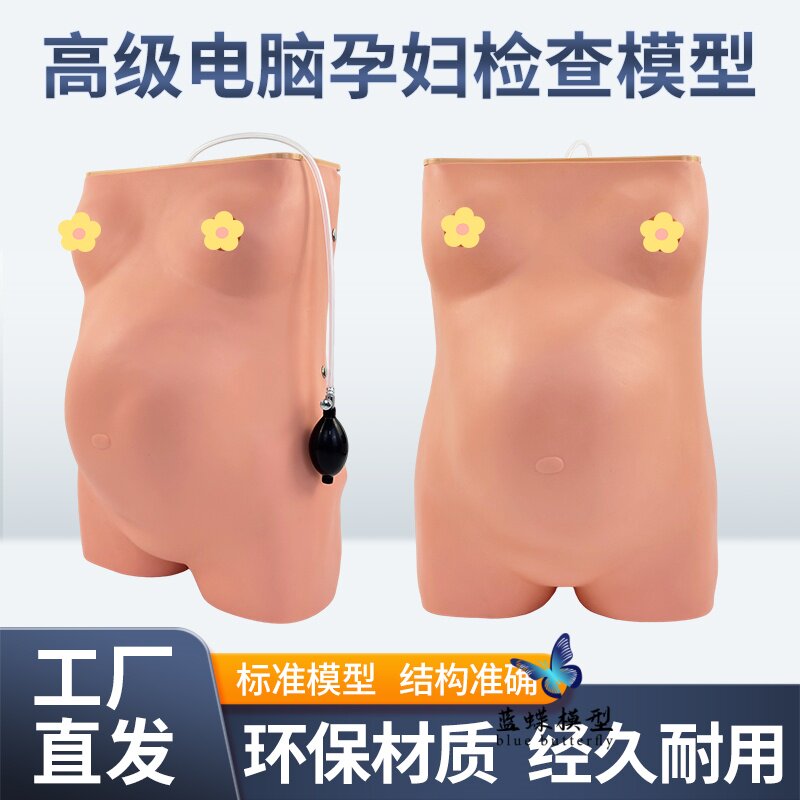 蓝蝶模型电脑孕妇检查模型