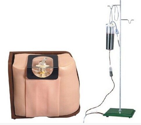 脊柱 脊椎穿刺模型 硬模外骶骨穿刺模型腰麻全麻穿刺模型腰穿骨穿