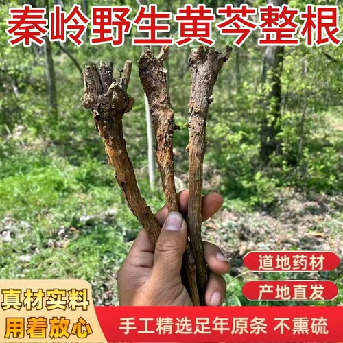 黄芩中药材正品500克野生无硫