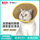凉感猫头套术后防舔 伊丽莎白圈夏季 亚马逊新品 宠物编织透气款