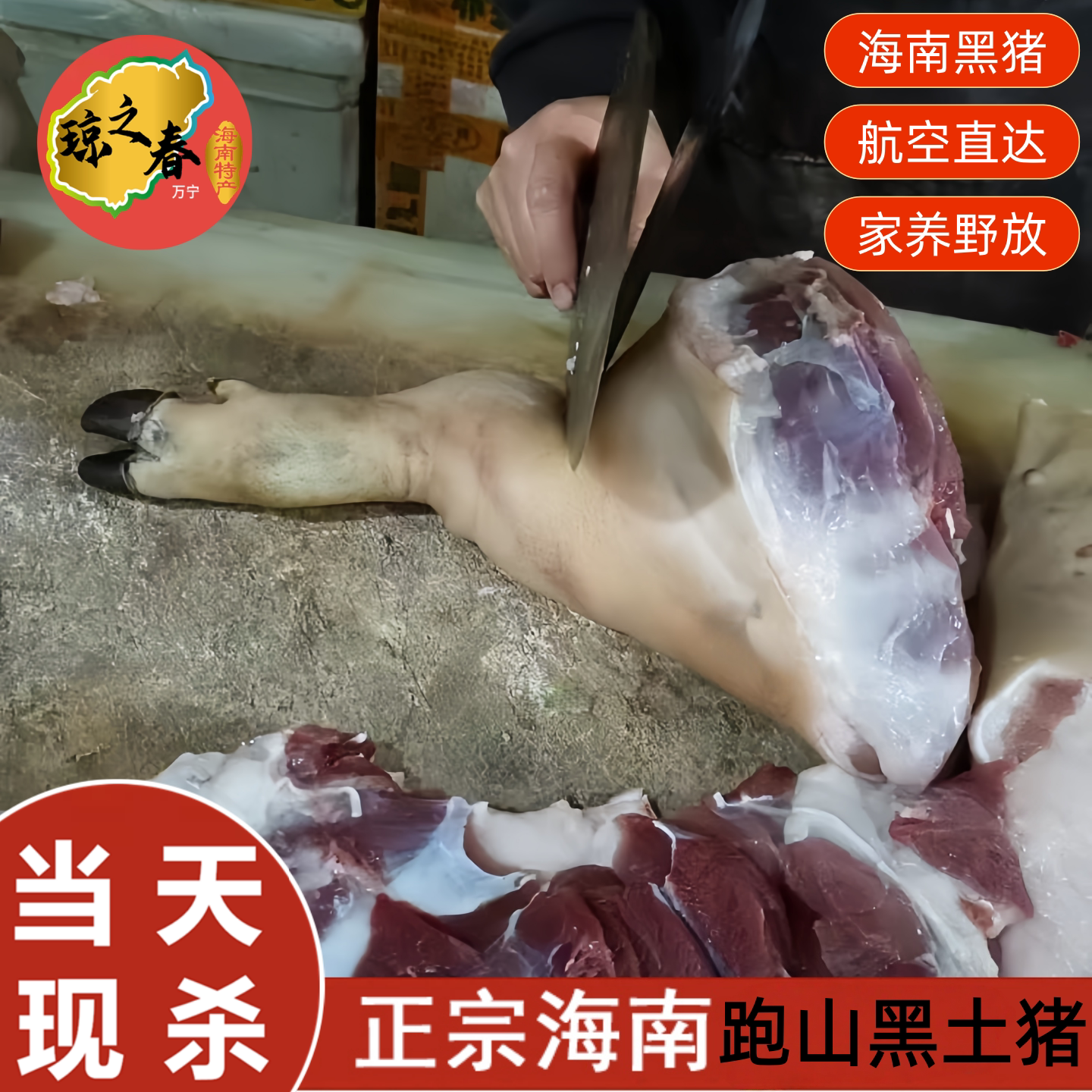 海南特产野生放养黑土猪低脂猪肉