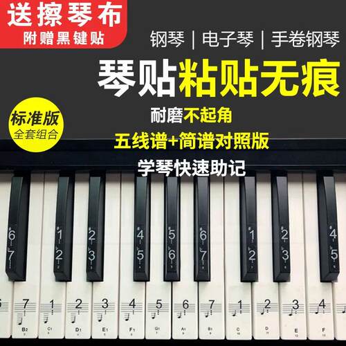 透明88键钢琴贴纸76键54键61键电子琴贴纸五线谱简谱音符按键贴49