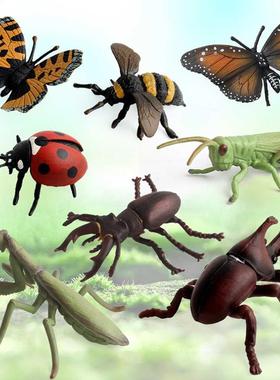 Educational Toys 8PCS Simulation Insect Model Children'S