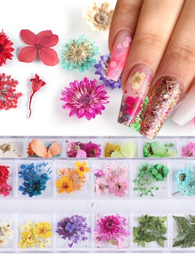 Mix Dried Flowers Nail Decorations Jewelry Natural Floral Le