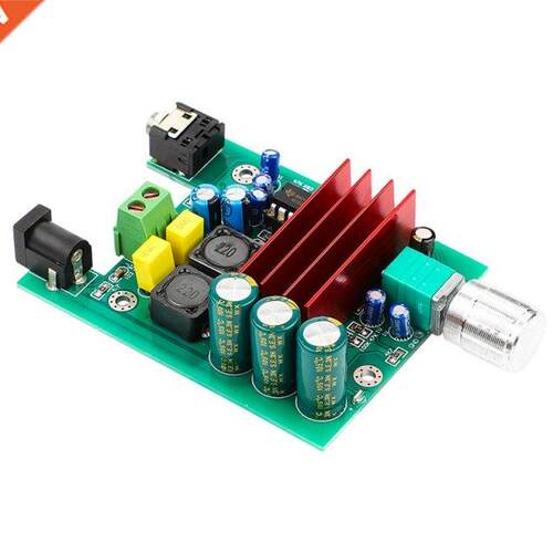 100W TPA3116D2 Amplifier Full Frequency Mono Channel Digital