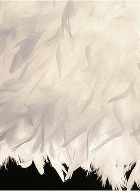 Bedsde Readng Room Sttng Room Heart S Feather Cryst