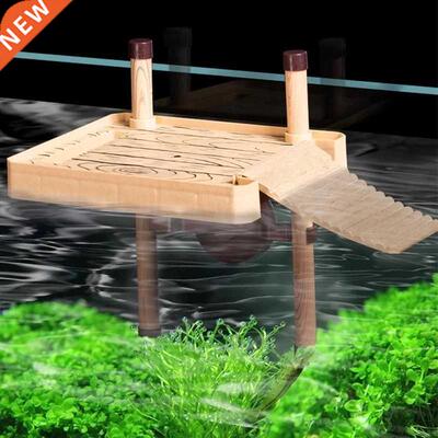 Tortoise terrace Brazilian water turtle Floating island turt