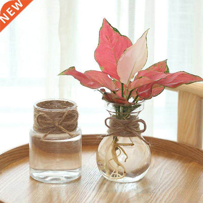 New  Clear Glass Hyacinth Vase Transparent Flower Plant B