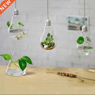 Hanging Lamp Glass Vase Hydroponic Vases Fashion Home Decor