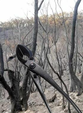 Clippers Root Tree Garden Tools Bonsai High Hardness Mangane