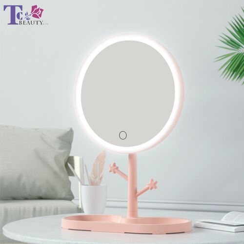 LED Makeup Mirror With Light Ladies Storage Makeup Lamp Desk