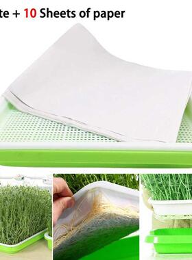 Seed Sprouter Tray Nursery Trays Large Capacity Healthy Whea