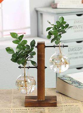 Terrium Hydroponic Plant Vases Vintage Flower Pot Transp