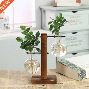 Terrium Hydroponic Plant Vases Vintage Flower Pot Transp