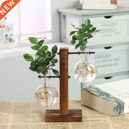 Terrium Hydroponic Plant Vases Vintage Flower Pot Transp