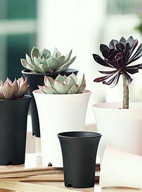 10pcs/set Succulents Flower Pot Plant Pot Planter Plastic Po