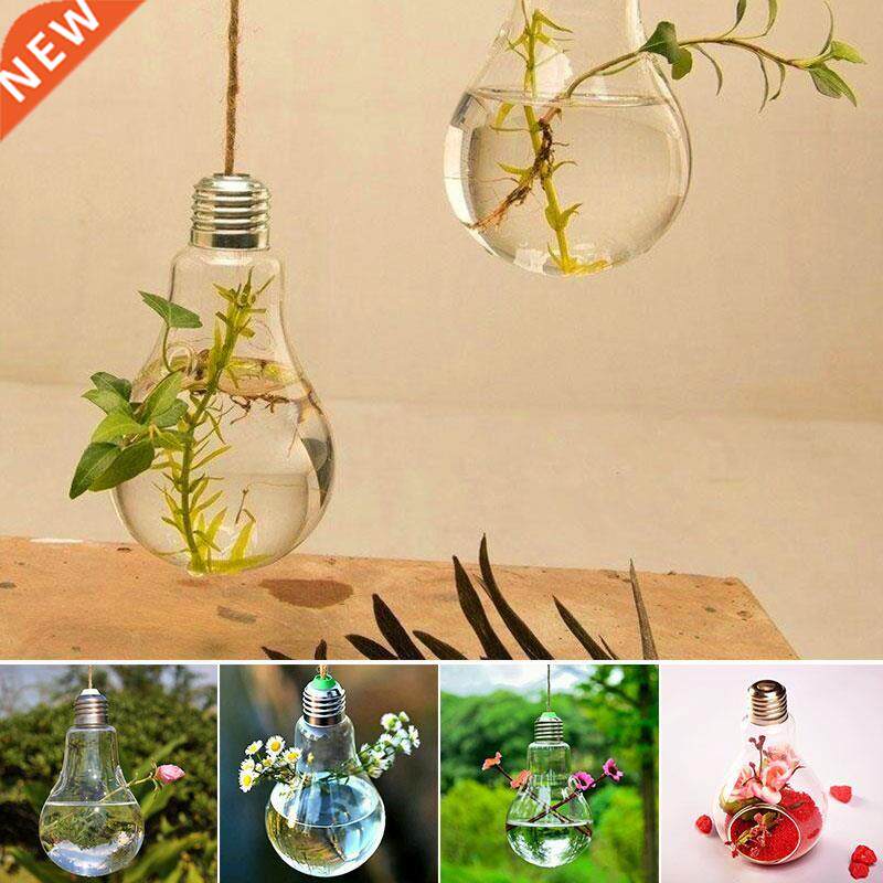 Clear Light Bulb Glass Hanging Vase Bottle Terrarium Plant W