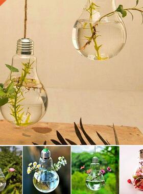 Clear Light Bulb Glass Hanging Vase Bottle Terrarium Plant W