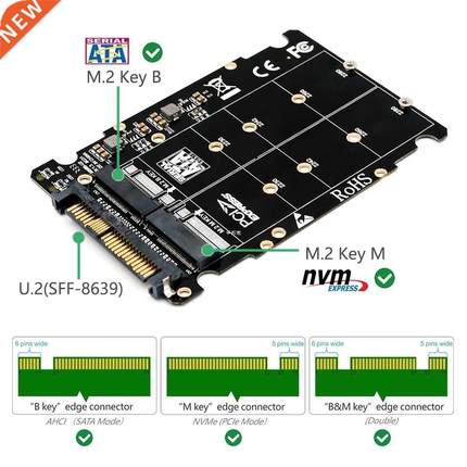 M.2 SSD to U.2 Adapter 2in1 M.2 NVMe and SATA-Bus NGFF SSD t