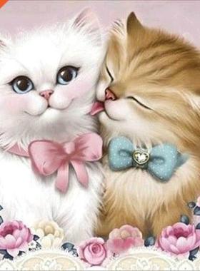 5D Diy Dimond Pinting Cross Stitch Couple Ct Dimond Pin