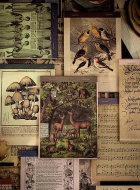 60pcs Time stamp plants Writable Material Paper Junk Journal