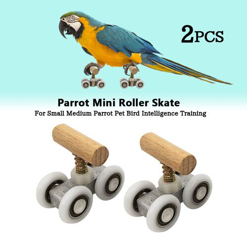 Parrot Roller Skate Adjustable Mini Roller Ice Skates Small