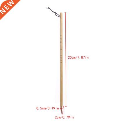 Chinese Calligraphy Small Regular Script Brush Pen Writing P