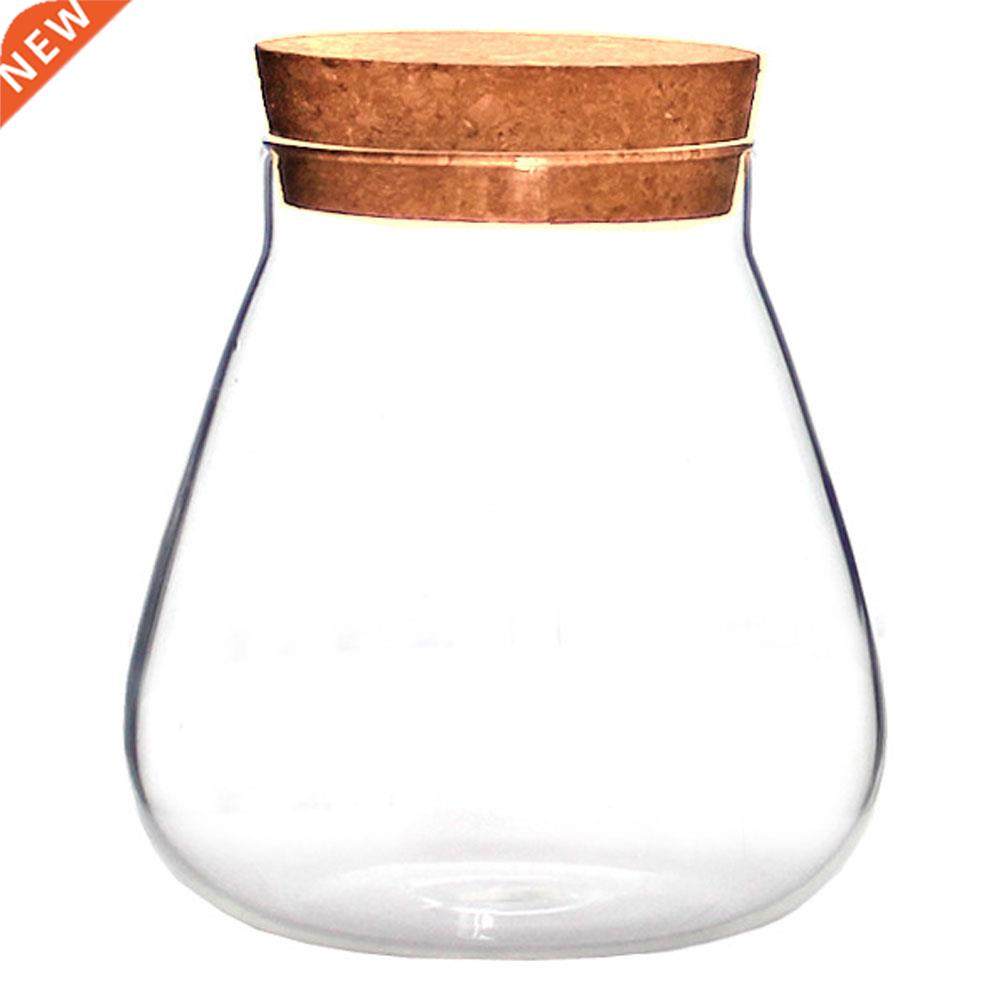 Succulent Plant Pot Glass Bottle Display Storage Pot Mi