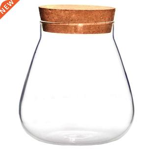 Succulent Plant Pot Glass Bottle Display Storage Pot Mi