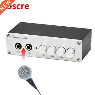 PT2399 Two-way Microphone Karaoke Machine Preamplifier JRC 5