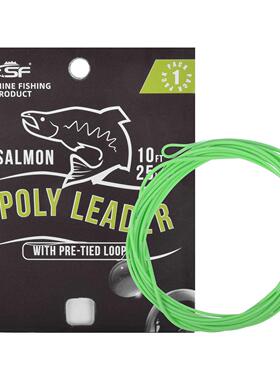 SF 1PCS 10FT Fly Fishing Polyleader Monofilament Core Leade