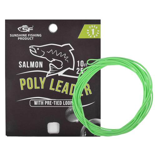 SF 1PCS 10FT Fly Fishing Polyleader Monofilament Core Leade