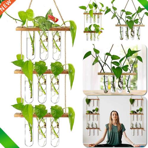 Ins Wall Hanging Glass Planter Terrarium Container Flower Bu