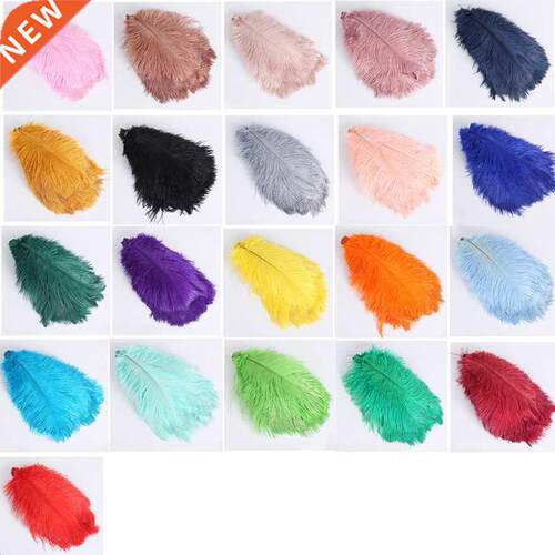 Colored Ostrich Feather 10Pcs for Photography Props Flower A