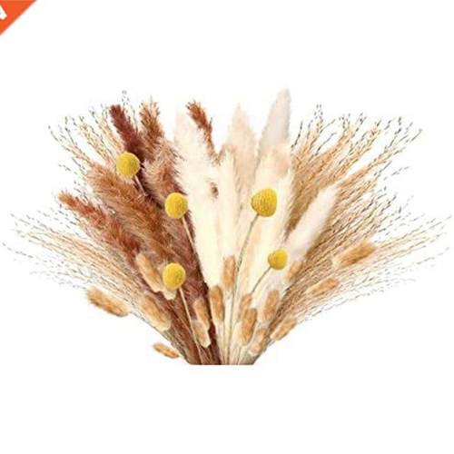 Pampas Grass Dried Dried Flowers Pampas Grass Decoration Nat