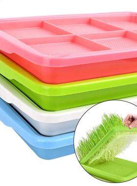 Planting Dishes Growing Wheat Seedlings Nursery Pots Double