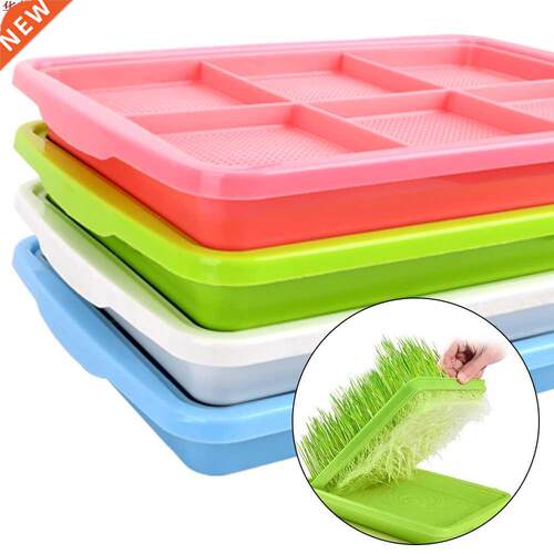 Planting Dishes Growing Wheat Seedlings Nursery Pots Double