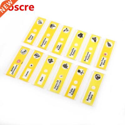 4 Set Plastic Prepared Microscope Slides Animals Insects Pla