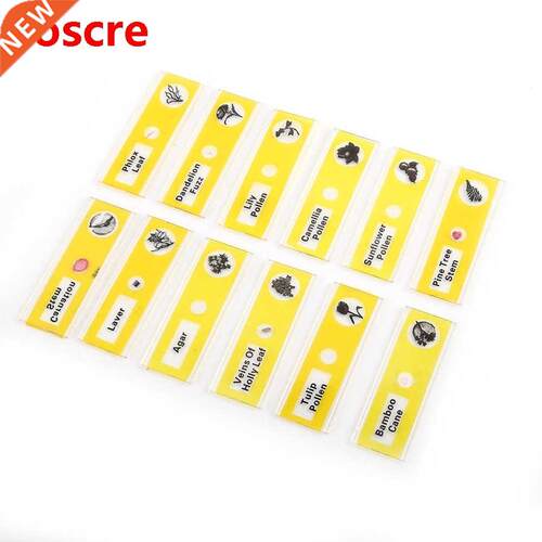 4 Set Plastic Prepared Microscope Slides Animals Insects Pla