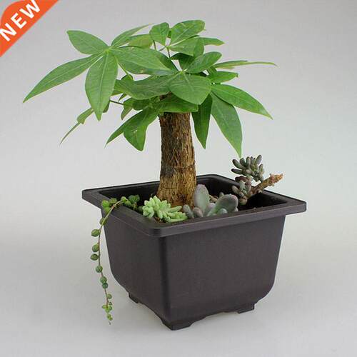 1PCS Garden Supplies Retro Plant Pot Plastic Succulents Flow