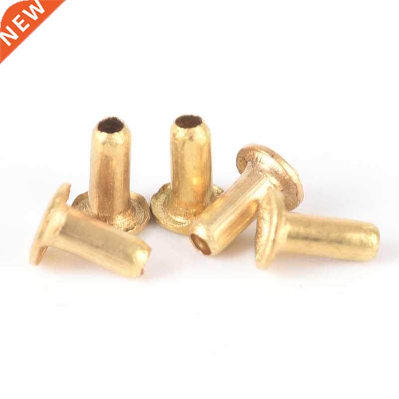 100PCS Steel Rivet Nut Rivnut Insert Nutsert For  Leather